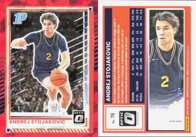 Andrej Stojakovic
