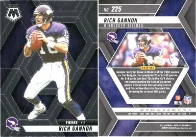 Rich Gannon card