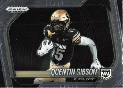 Quintin Gibson 2025 Panini Prizm Black