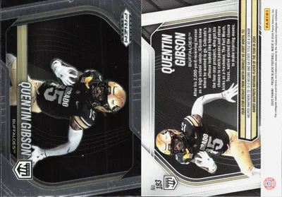 Quintin Gibson card