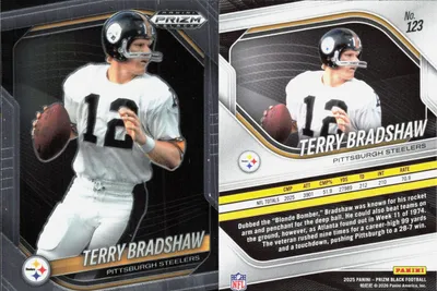 Terry Bradshaw card