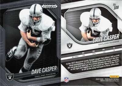 Dave Casper card