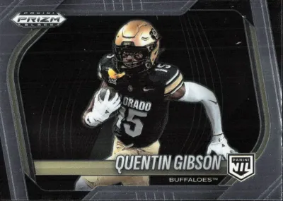 Quentin Gibson 2025 Panini Prizm Black