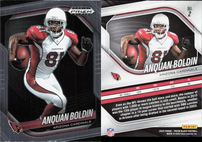 Anquan Boldin card