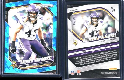 Andrew Van Ginkel card