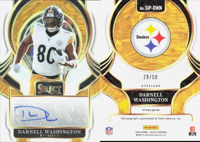Darnell Washington card