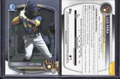 Luis Peña card