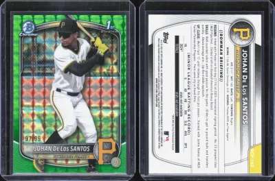 Johan De Los Santos card