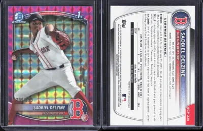 Sadbiel Delzine card