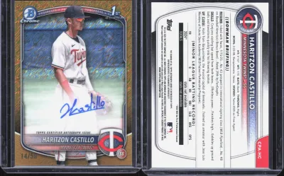 Haritzon Castillo