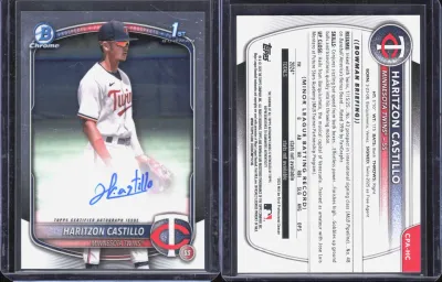 Haritzon Castillo