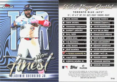 Vladimir Guerrero Jr.
