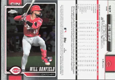 Will Banfield
