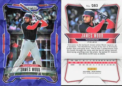James Wood