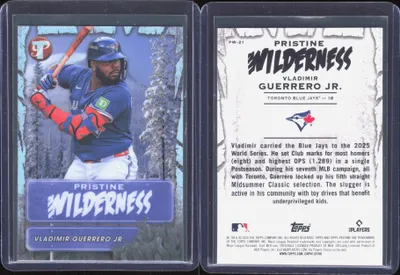 Vladimir Guerrero Jr.